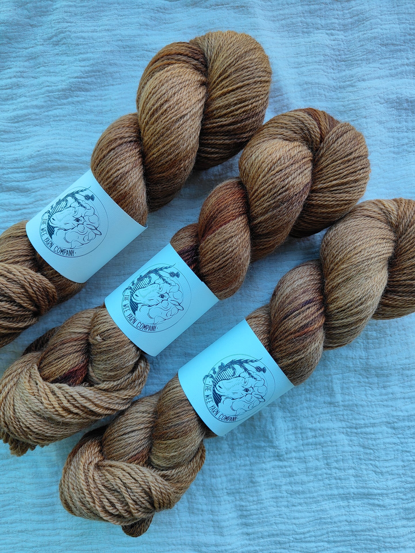 Tate - Cailleach Sport