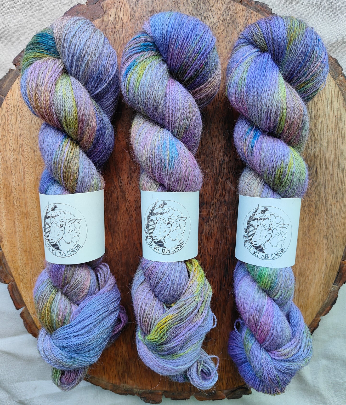 Quasihoedo - Casta Lace