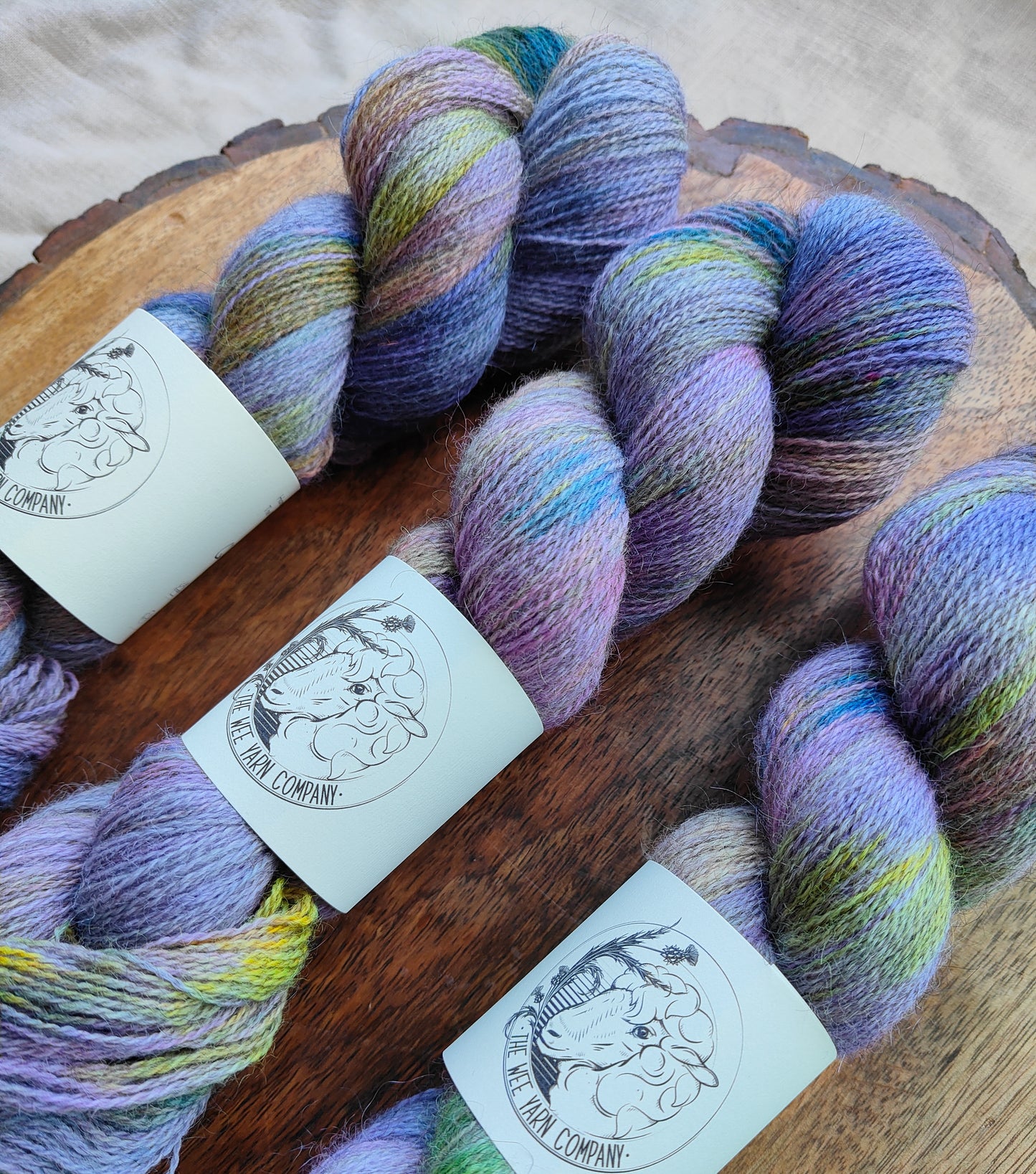 Quasihoedo - Casta Lace