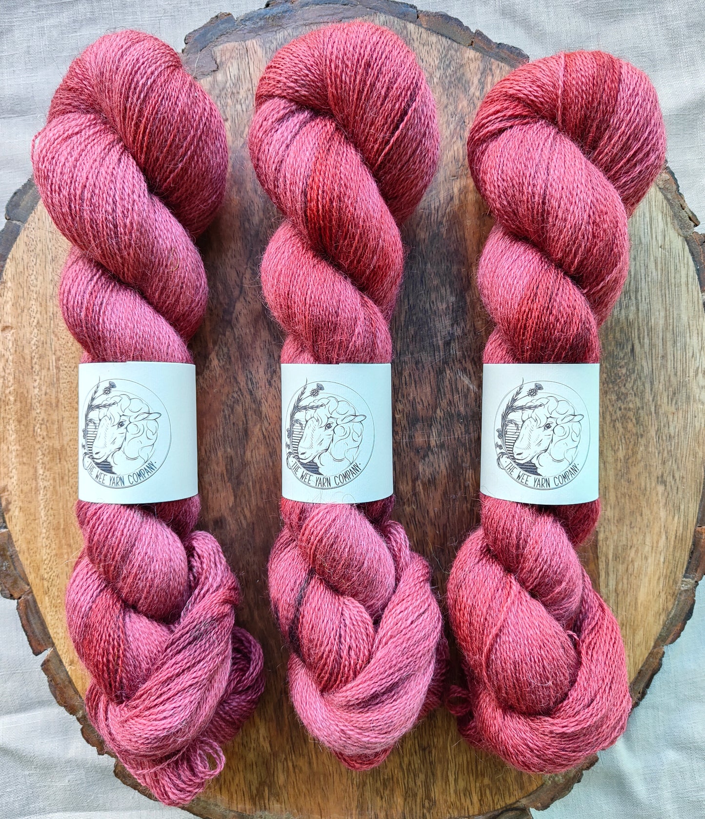 Bauchan - Casta Lace