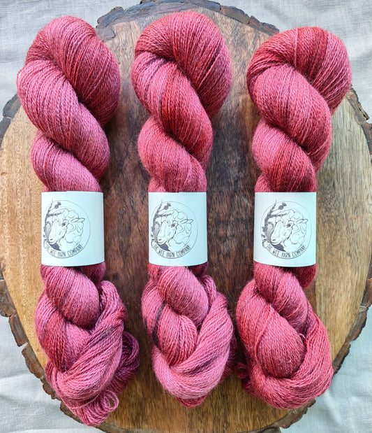 Bauchan - Casta Lace