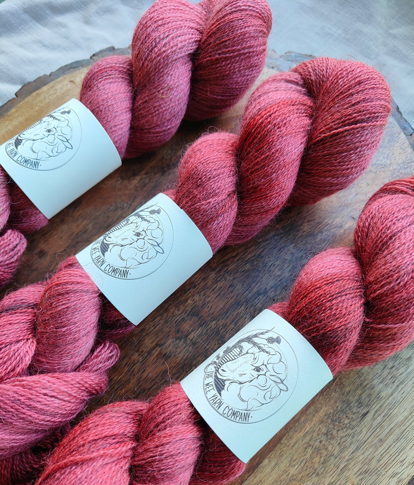 Bauchan - Casta Lace