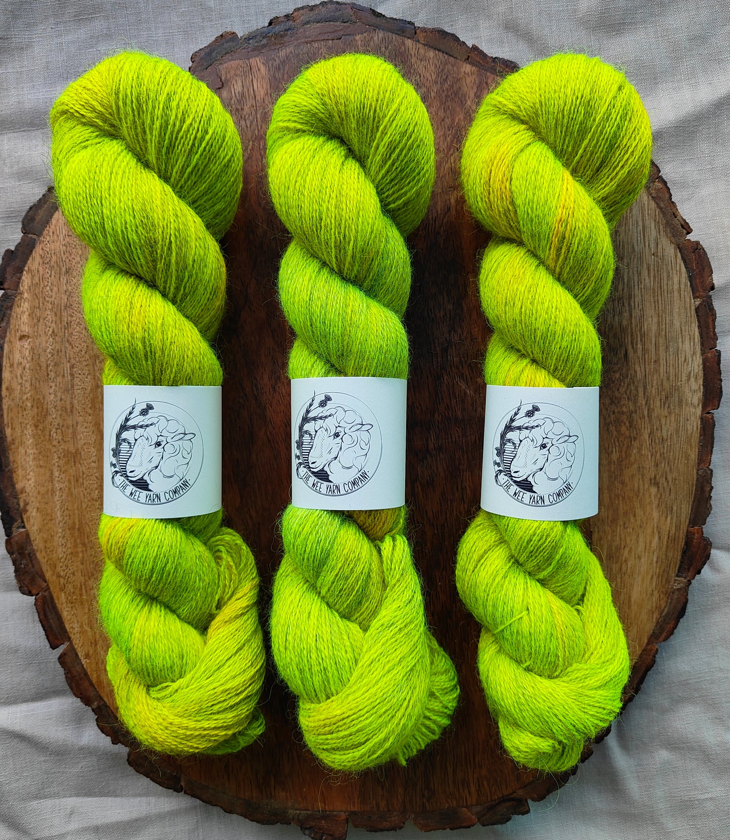 Solasta - Casta Lace