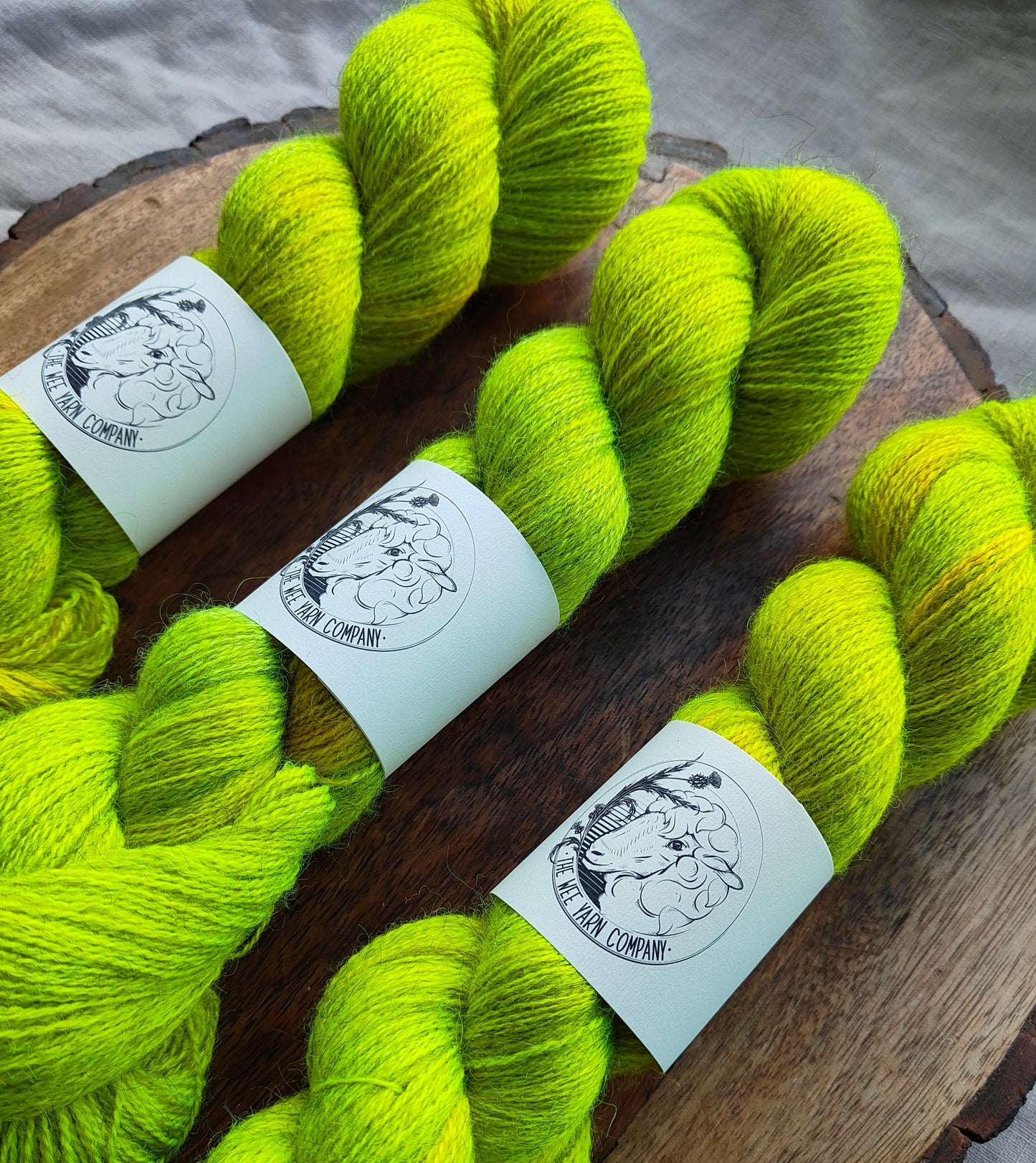 Solasta - Casta Lace