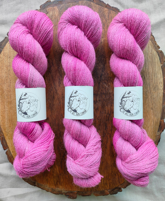 Pinky - Casta Lace