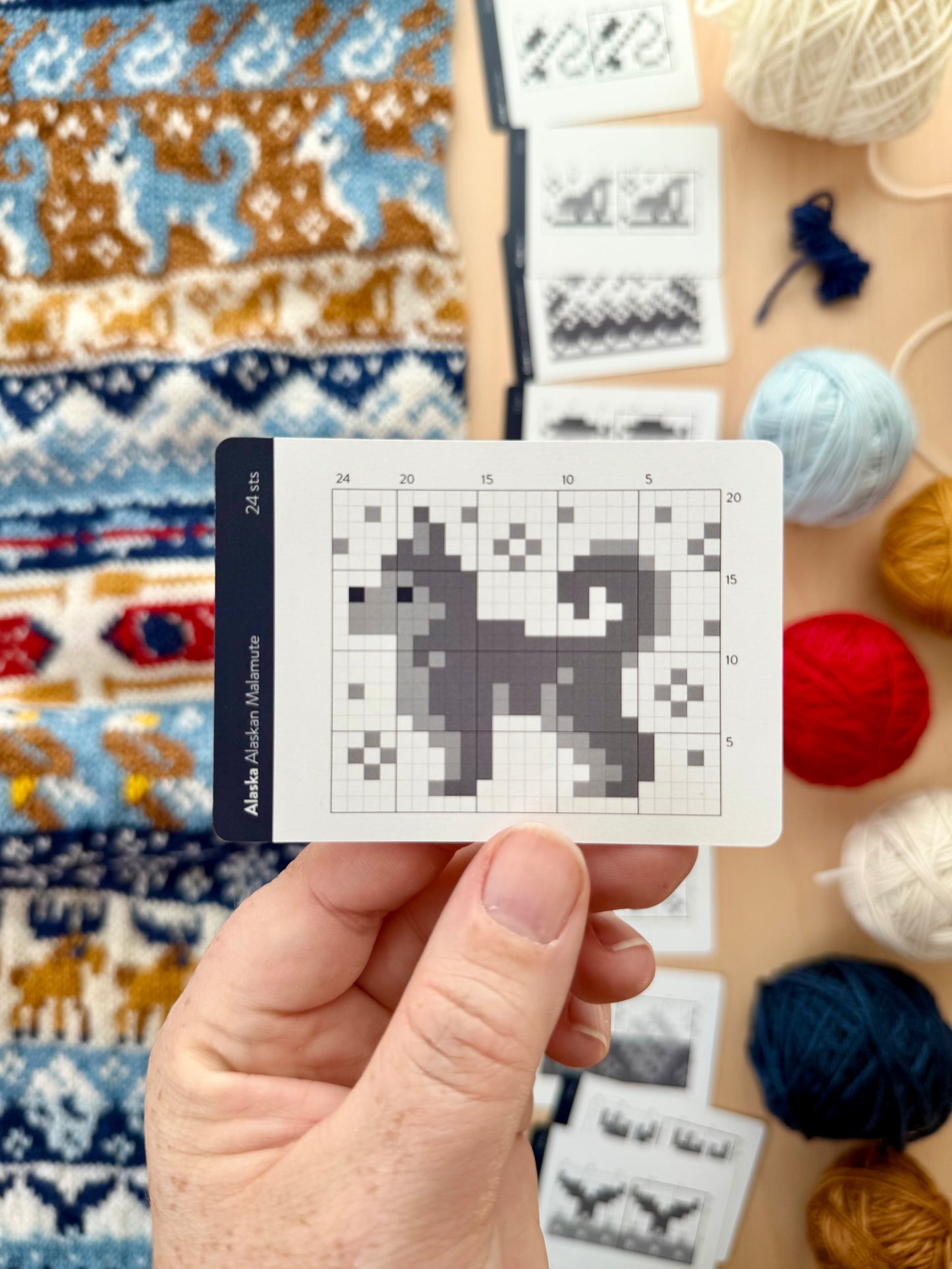 Alaska Destination Doodle Deck - Pacific Knit Co.