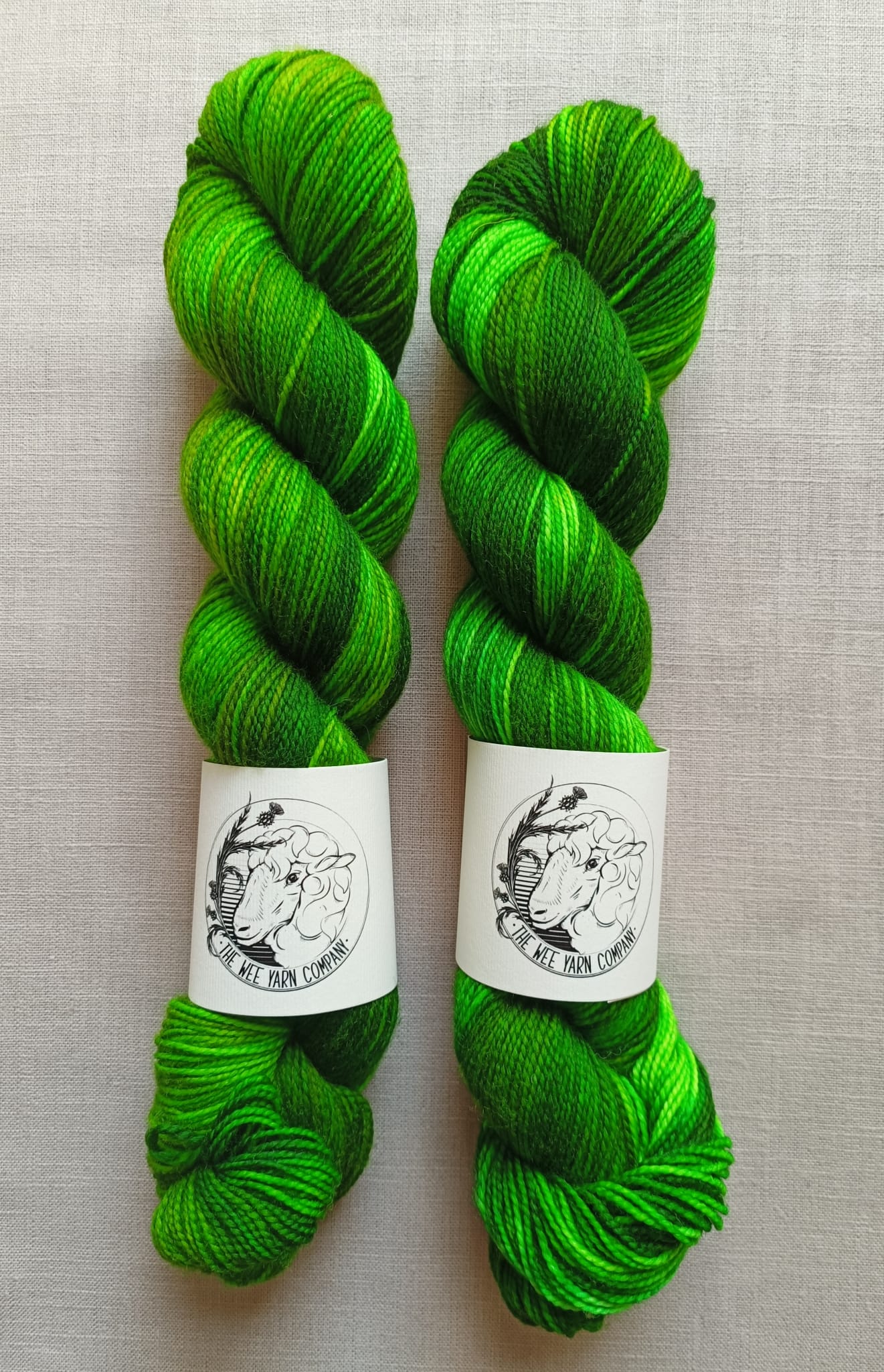 ‘Deceitful Little Sicilian Gecko’ - Gallus Sock