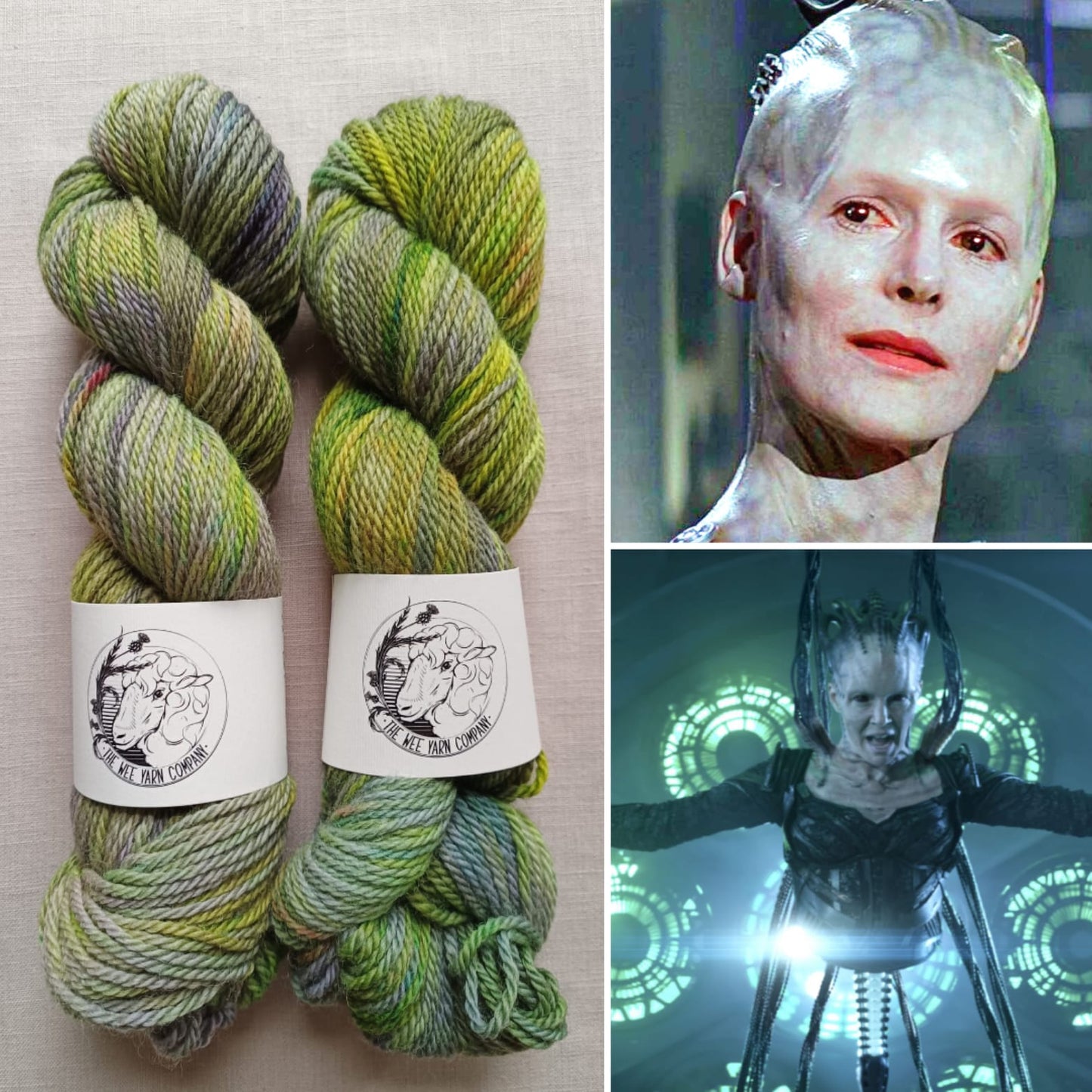 Borg Queen - Organic Merino Aran