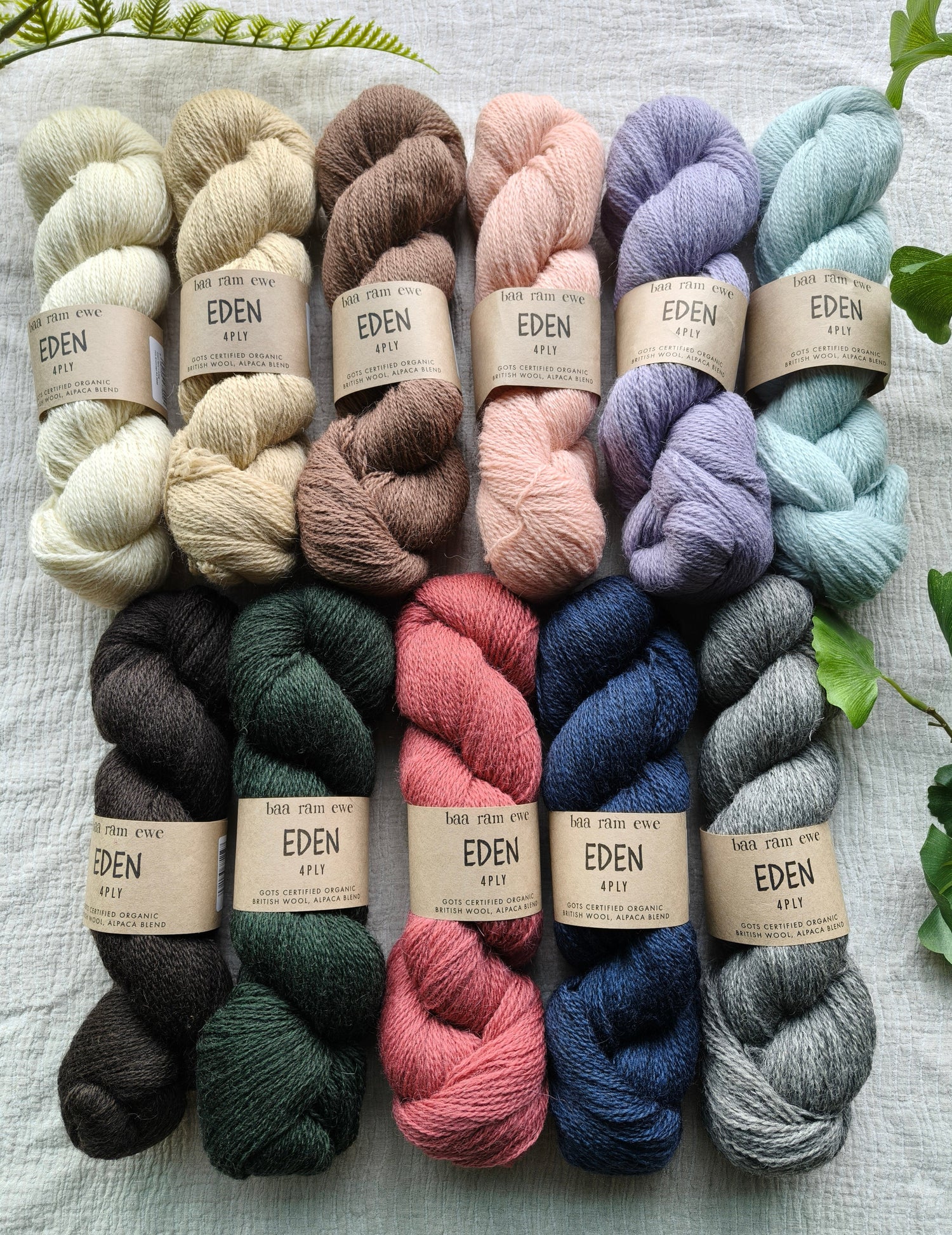 Eden 4ply - Baa Ram Ewe