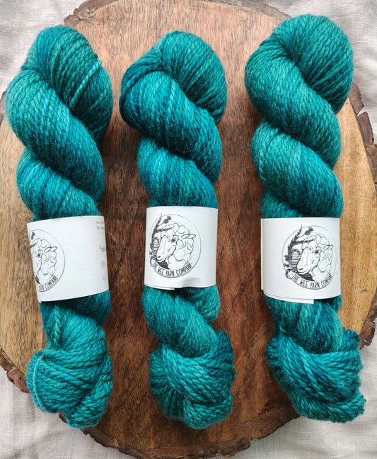 Selkie - Bonnie BFL Aran
