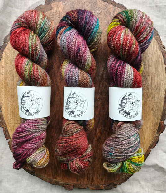 Chosen Family - Dorcha Worsted