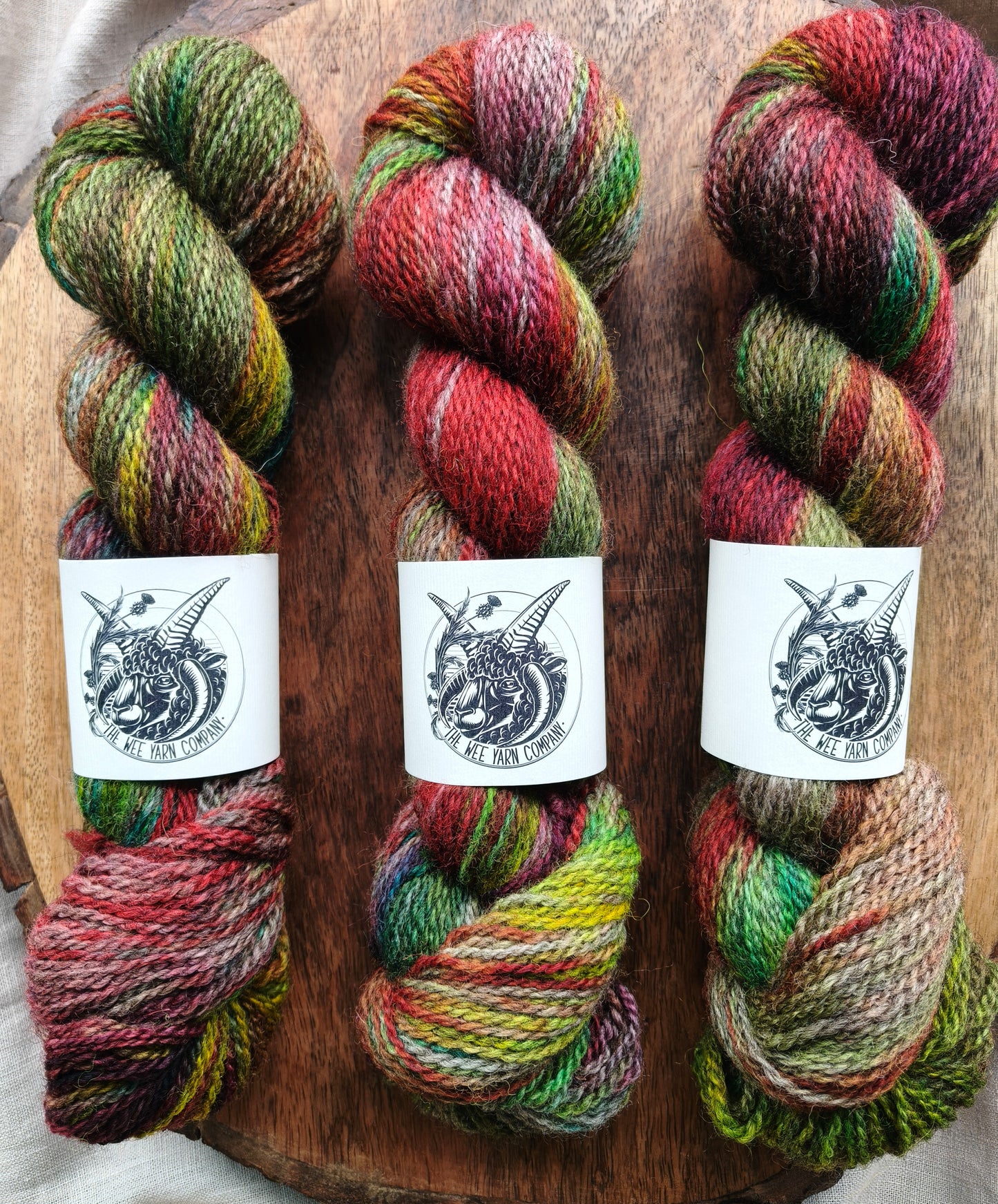 Chosen Family - Morag DK