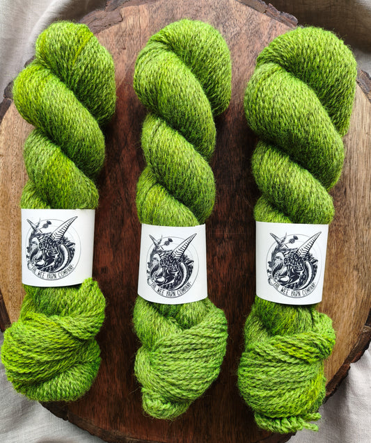 The Canvas - Morag DK