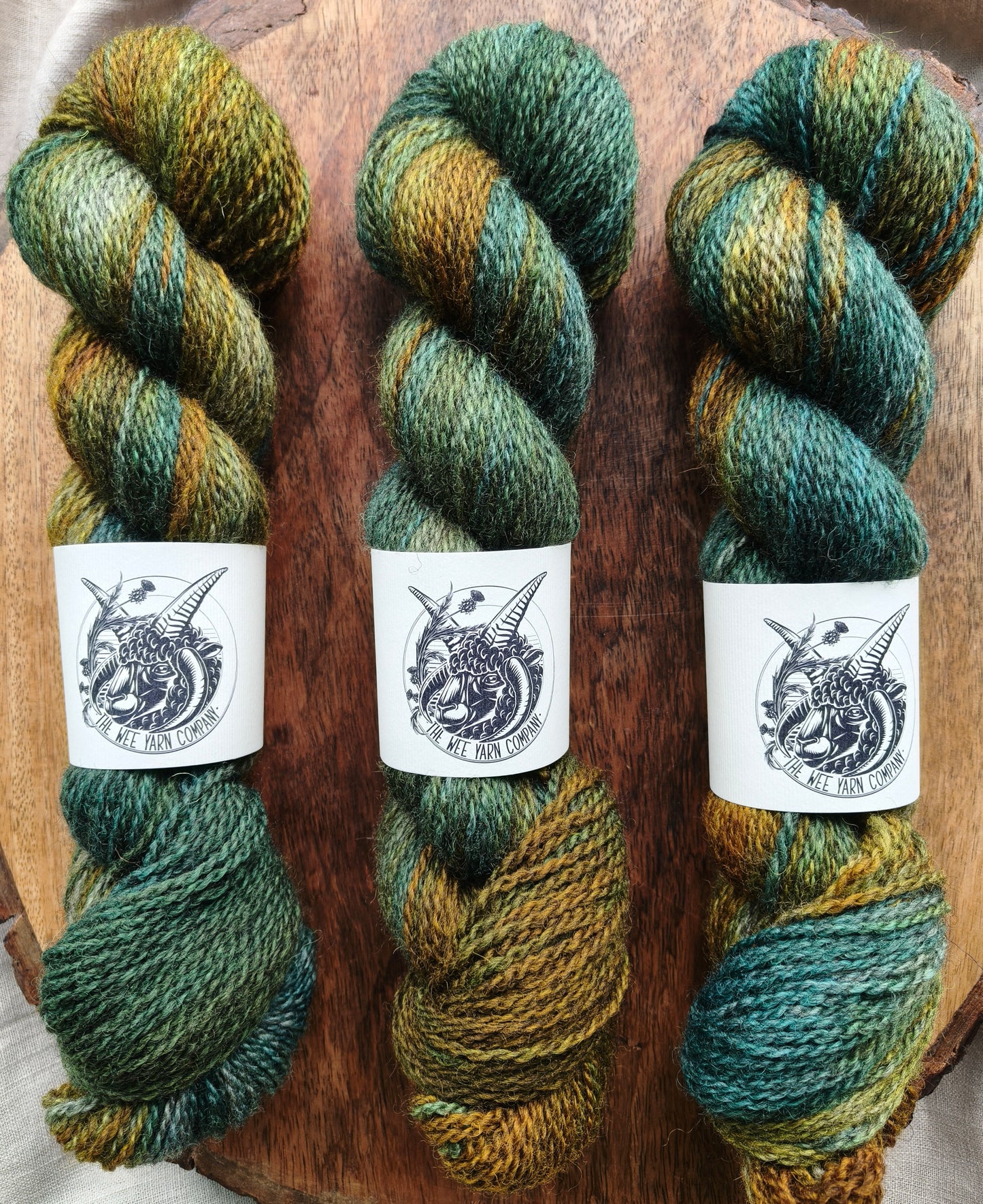 Benisseur - Morag DK