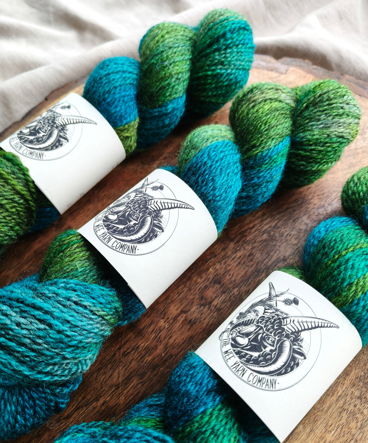 Insectoid - Morag DK