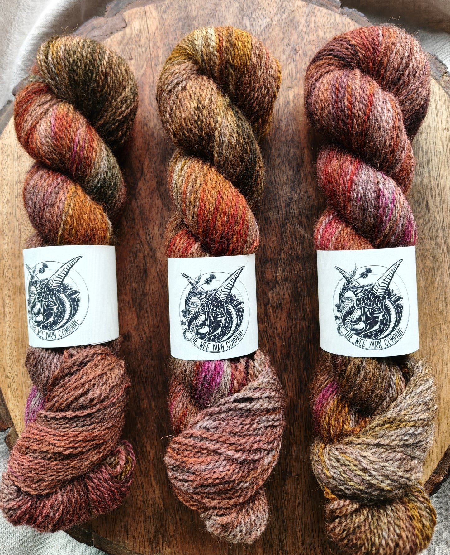 Sunny Side - Morag DK