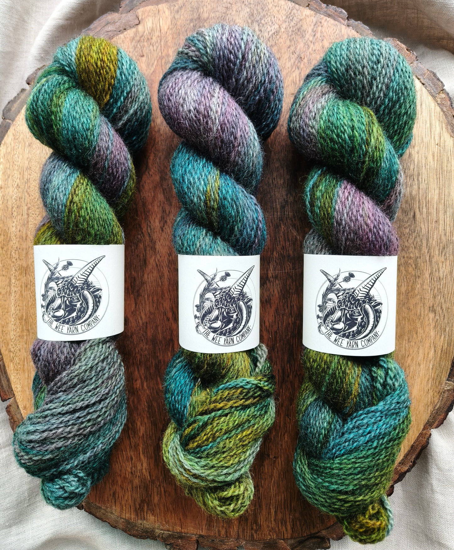 Refraction - Morag DK