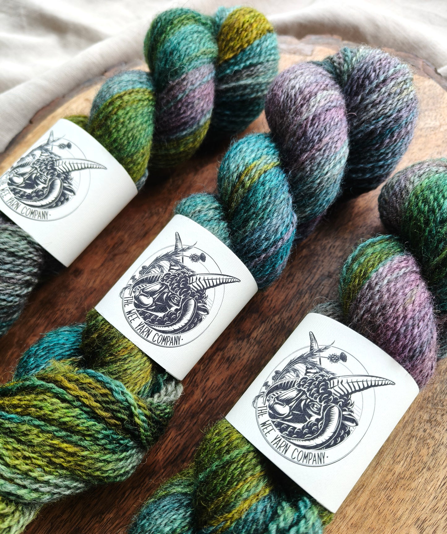 Refraction - Morag DK