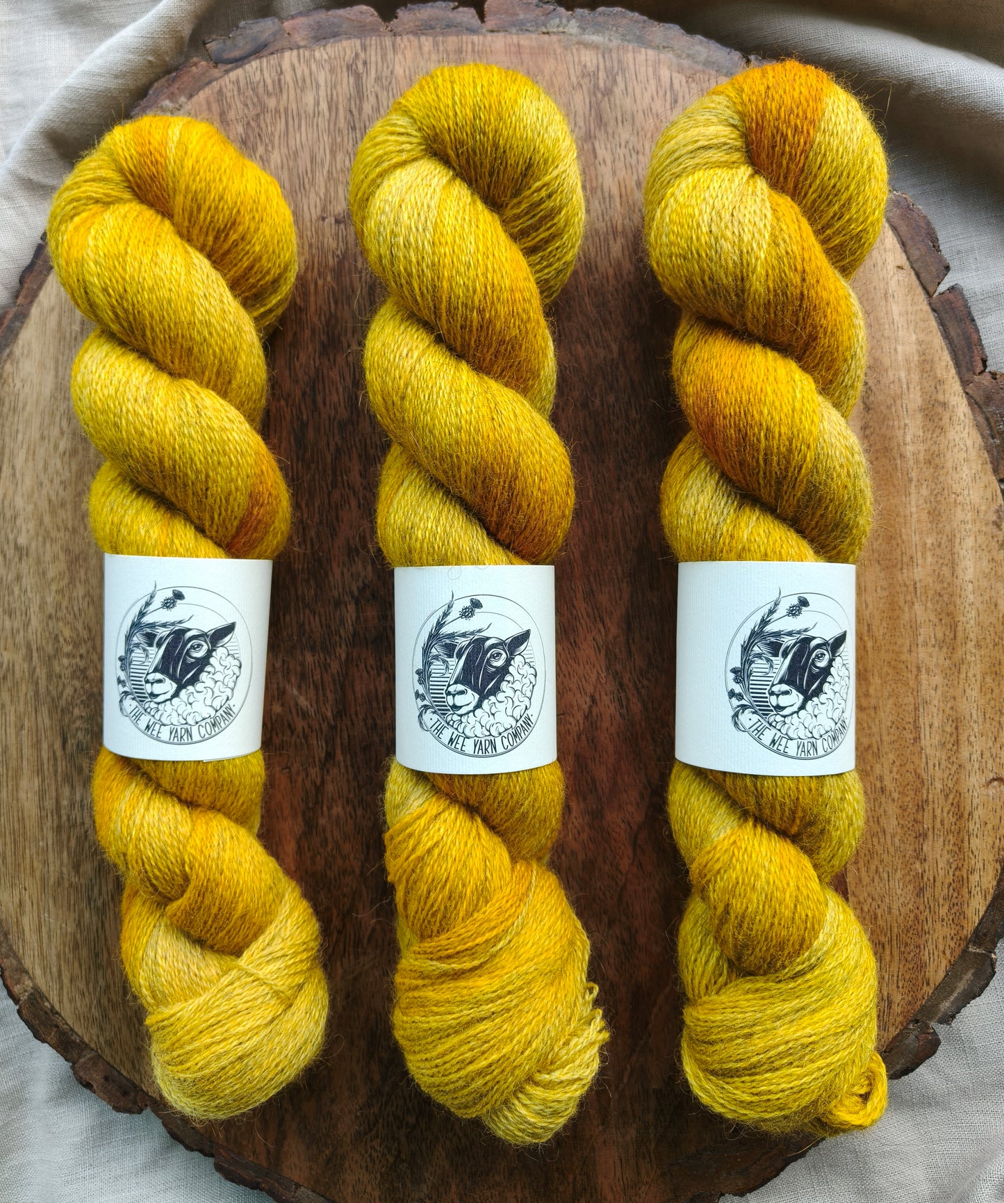 Gorse - Casta Lace
