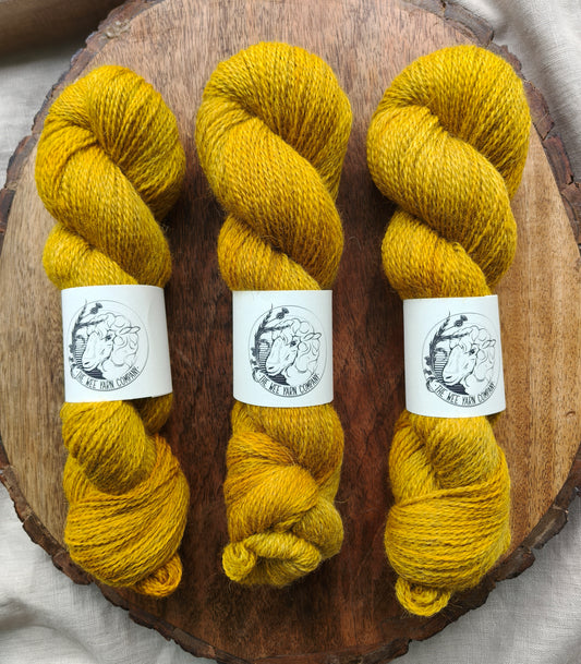 Gorse - Mirknen